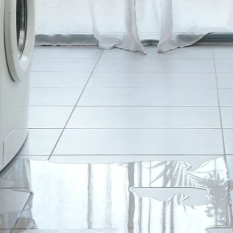 Appliance Leak Cleanup in Wichita County, TX