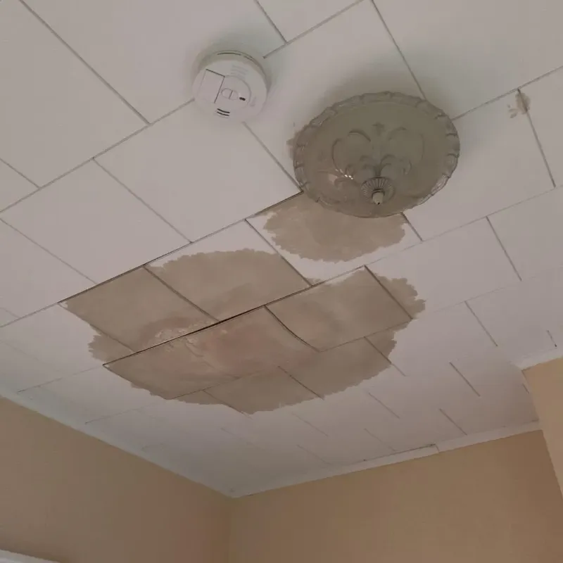 Ceiling Water Damage Repair in Wichita County, TX