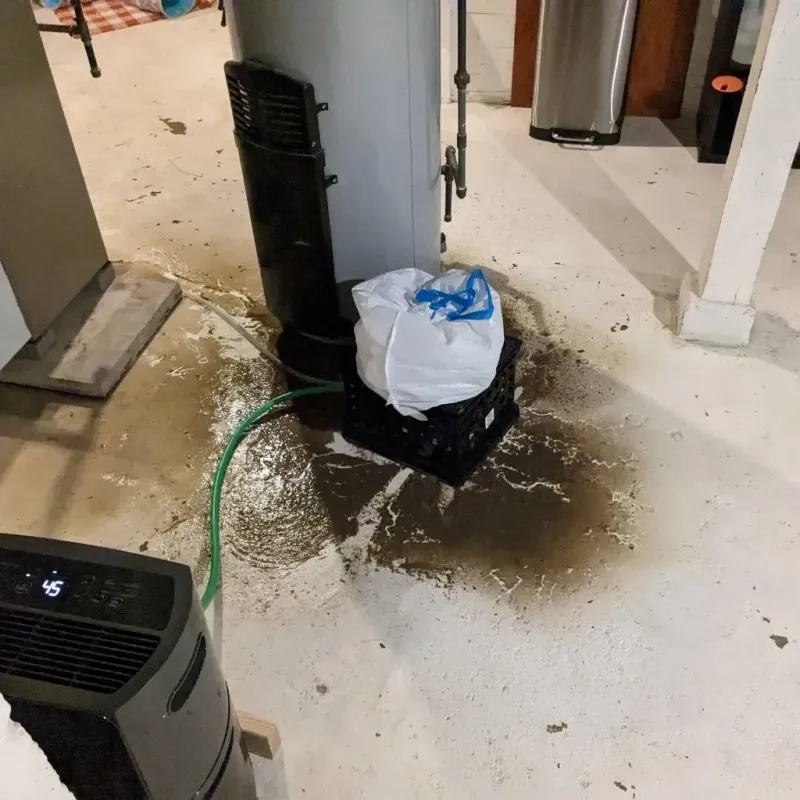 Sewage Backup Cleanup Service in Wichita County, TX